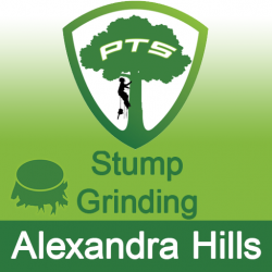 Stump Grinding Alexandra Hills