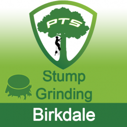 Stump Grinding Birkdale