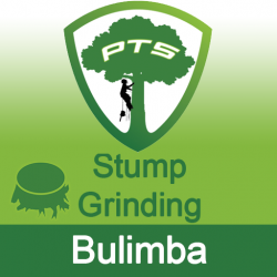 Stump Grinding Bulimba