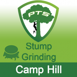 Stump Grinding Camp Hill