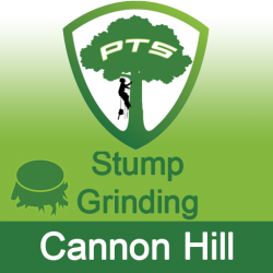 Stump Grinding Cannon Hill