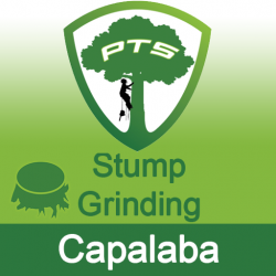 Stump Grinding Capalaba