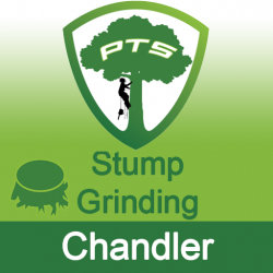 Stump Grinding Chandler