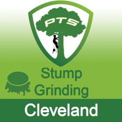 Stump Grinding Cleveland