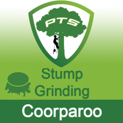 Stump Grinding Coorparoo