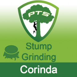 Stump Grinding Corinda
